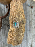 Turquoise Lucky Horse Shoe